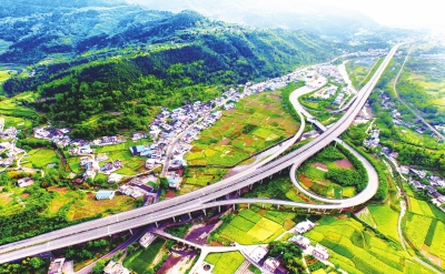 广巴高速公路一景旺苍县标准化黄茶生产基地.