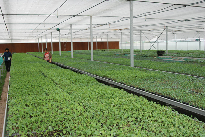 朝天区现代农业园区规划建设初具规模
