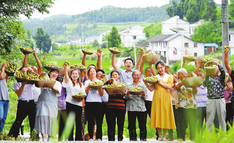 打造幸福、带劲、美好的乡村新未来「相关图片」