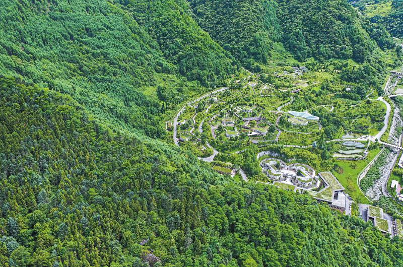 从碎片化栖息地到国家公园 四川探索保护大熊猫新范式「相关图片」