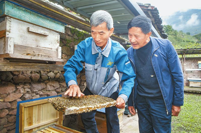 巩固拓展脱贫攻坚成果 接续推动脱贫地区发展和乡村全面振兴 ——新一轮四川省内对口帮扶一周年回眸「相关图片」