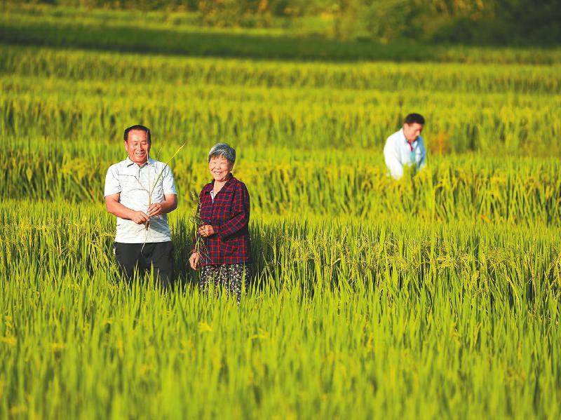 农业生产全力拼增量 助力全省经济稳增长「相关图片」