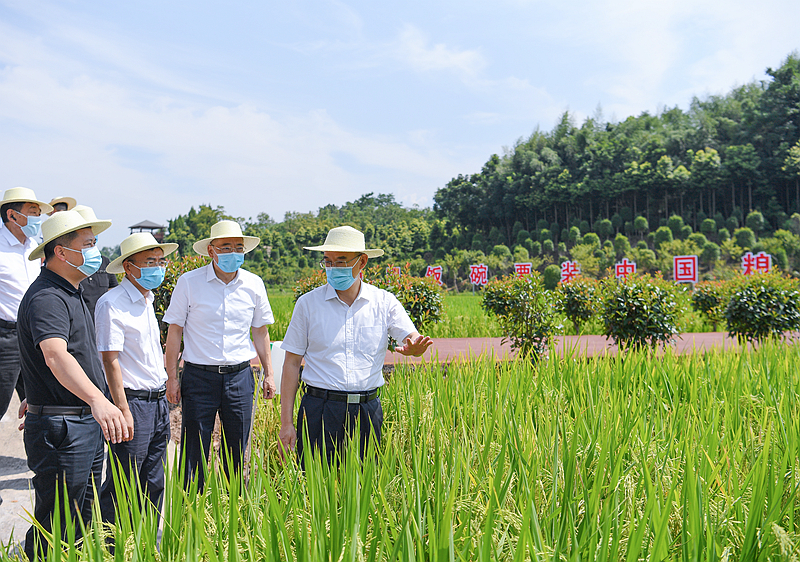 黄强在南充达州调研时强调 坚定信心鼓足干劲抢抓机遇拼搏冲刺 坚定推动高质量发展努力完成全年目标任务「相关图片」