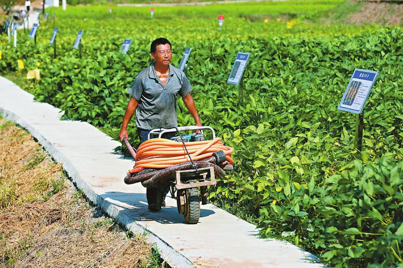 抗旱保灌 为民“解渴” 直击全省各地千方百计抗旱保生产「相关图片」
