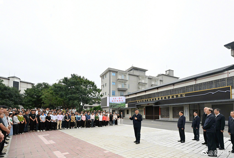 习近平在茂名市考察调研「相关图片」