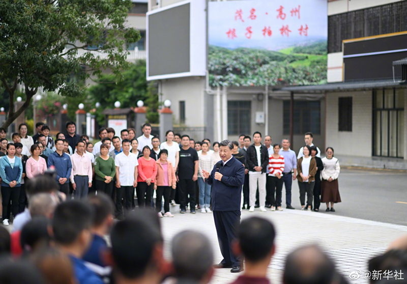 习近平在茂名市考察调研「相关图片」