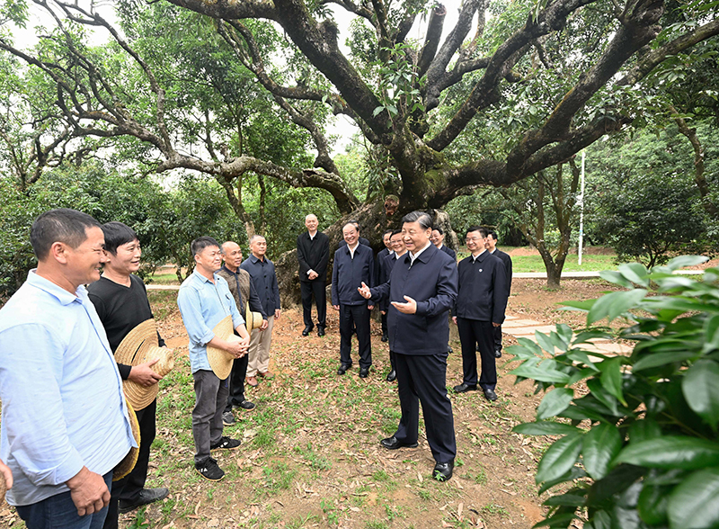 习近平在广东考察时强调 坚定不移全面深化改革扩大高水平对外开放 在推进中国式现代化建设中走在前列 蔡奇陪同考察「相关图片」