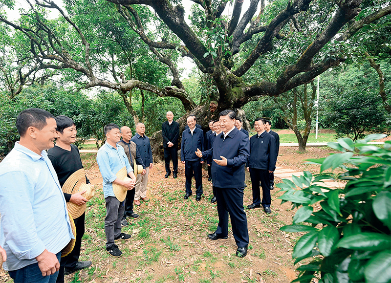 习近平:加快构建新发展格局 把握未来发展主动权「相关图片」