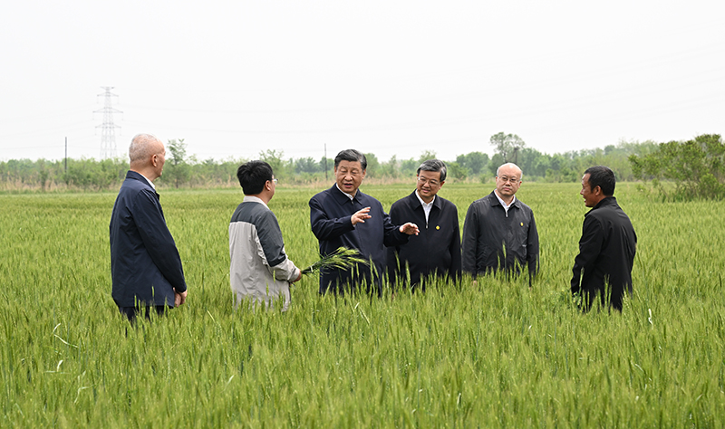 习近平在河北考察并主持召开深入推进京津冀协同发展座谈会时强调 以更加奋发有为的精神状态推进各项工作 推动京津冀协同发展不断迈上新台阶 李强丁薛祥出席座谈会 蔡奇陪同考察并出席座谈会「相关图片」