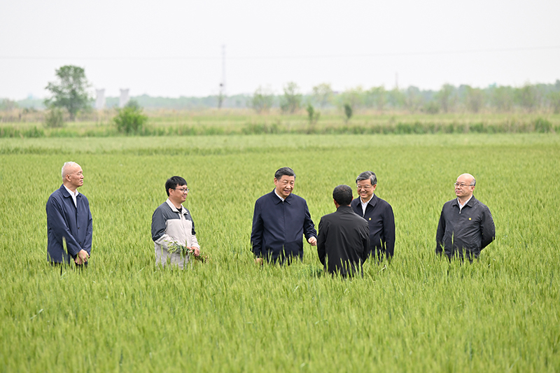 习近平在河北考察并主持召开深入推进京津冀协同发展座谈会时强调 以更加奋发有为的精神状态推进各项工作 推动京津冀协同发展不断迈上新台阶 李强丁薛祥出席座谈会 蔡奇陪同考察并出席座谈会「相关图片」