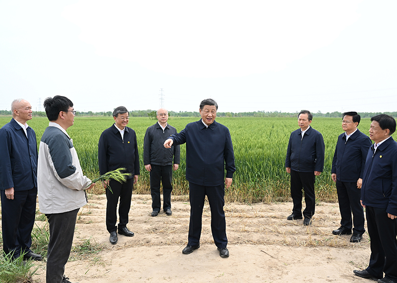 习近平在河北考察并主持召开深入推进京津冀协同发展座谈会时强调 以更加奋发有为的精神状态推进各项工作 推动京津冀协同发展不断迈上新台阶 李强丁薛祥出席座谈会 蔡奇陪同考察并出席座谈会「相关图片」