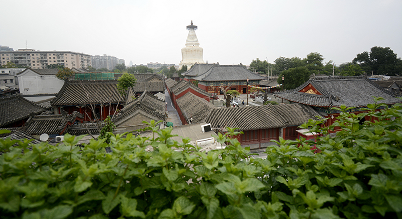 以习近平同志为核心的党中央引领中华文化创造性转化创新性发展纪实「相关图片」