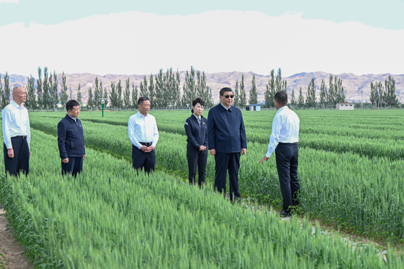 习近平在内蒙古巴彦淖尔考察并主持召开加强荒漠化综合防治 和推进“三北”等重点生态工程建设座谈会「相关图片」