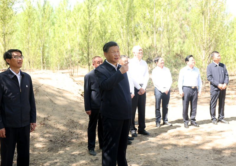 习近平在内蒙古巴彦淖尔考察并主持召开加强荒漠化综合防治 和推进“三北”等重点生态工程建设座谈会「相关图片」