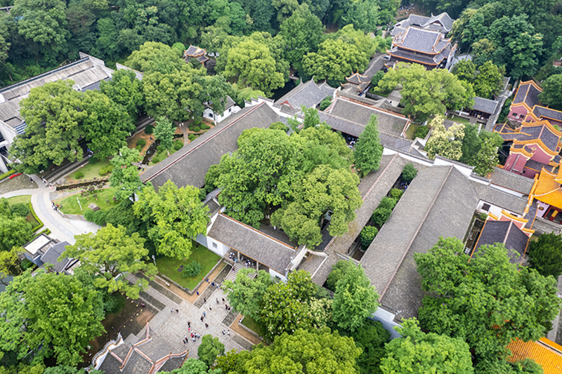 不断攀登新的思想高峰 ——深入学习和全面贯彻习近平新时代中国特色社会主义思想述评「相关图片」