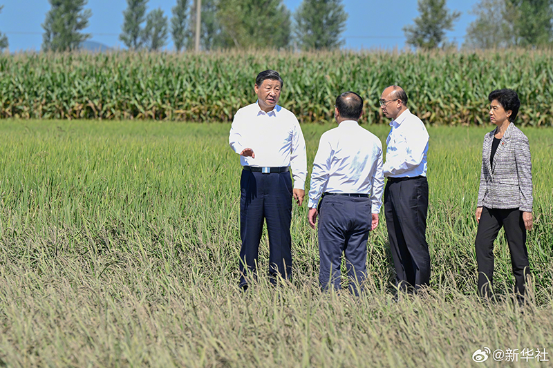 习近平在黑龙江尚志市看望慰问受灾群众「相关图片」