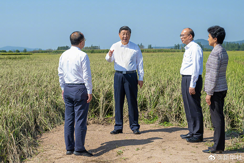习近平在黑龙江尚志市看望慰问受灾群众「相关图片」