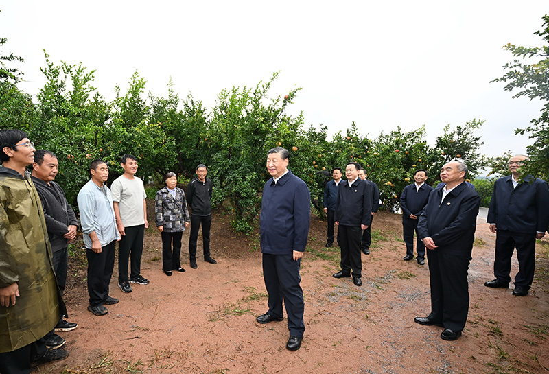 习近平在浙江考察时强调 始终干在实处走在前列勇立潮头 奋力谱写中国式现代化浙江新篇章 返京途中在山东枣庄考察 蔡奇陪同考察「相关图片」