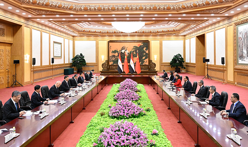 习近平会见埃及总理马德布利「相关图片」
