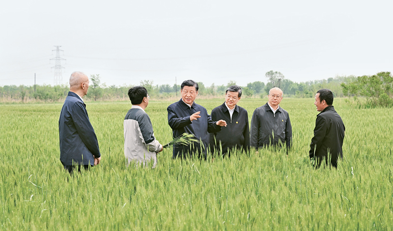 习近平：在二十届中央审计委员会第一次会议上的讲话「相关图片」