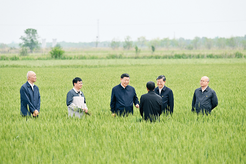 习近平：切实加强耕地保护 抓好盐碱地综合改造利用「相关图片」