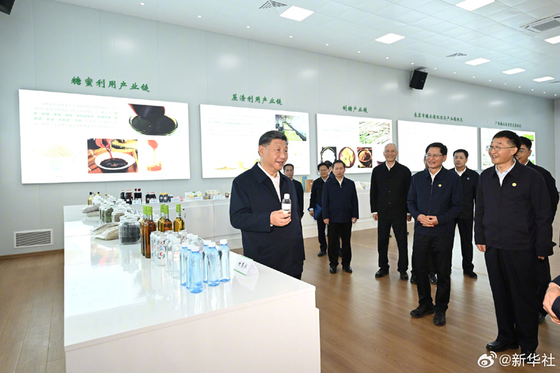 习近平在广西来宾市考察调研「相关图片」