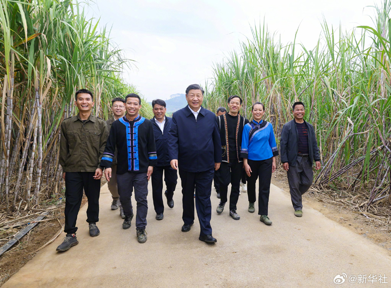 习近平在广西来宾市考察调研「相关图片」