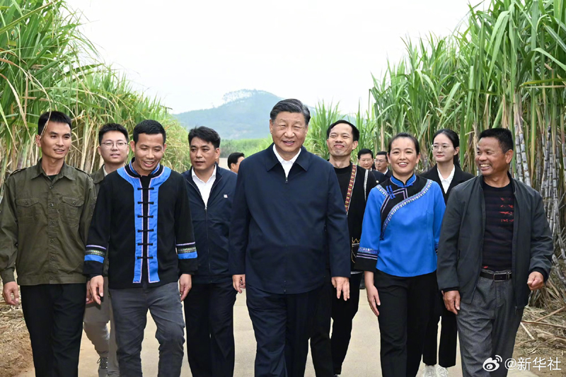习近平在广西来宾市考察调研「相关图片」
