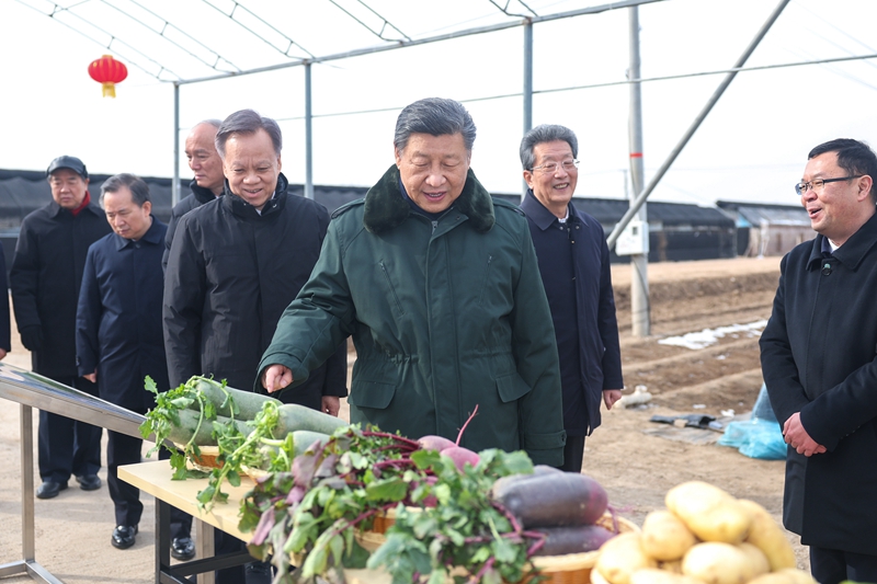 习近平春节前夕赴天津看望慰问基层干部群众 向全国各族人民致以美好的新春祝福 祝各族人民幸福安康 祝伟大祖国繁荣昌盛 蔡奇陪同考察「相关图片」