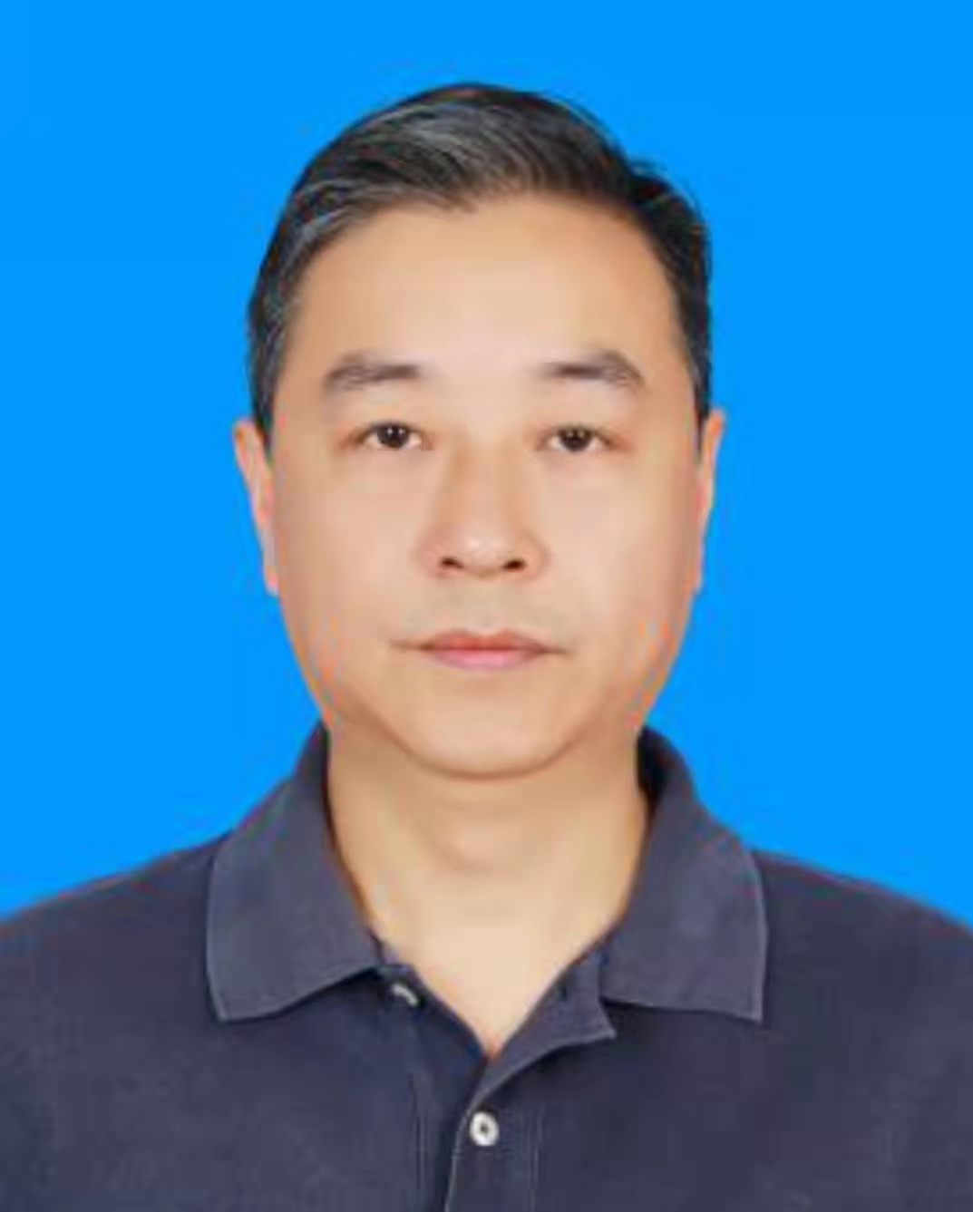 杨  柳