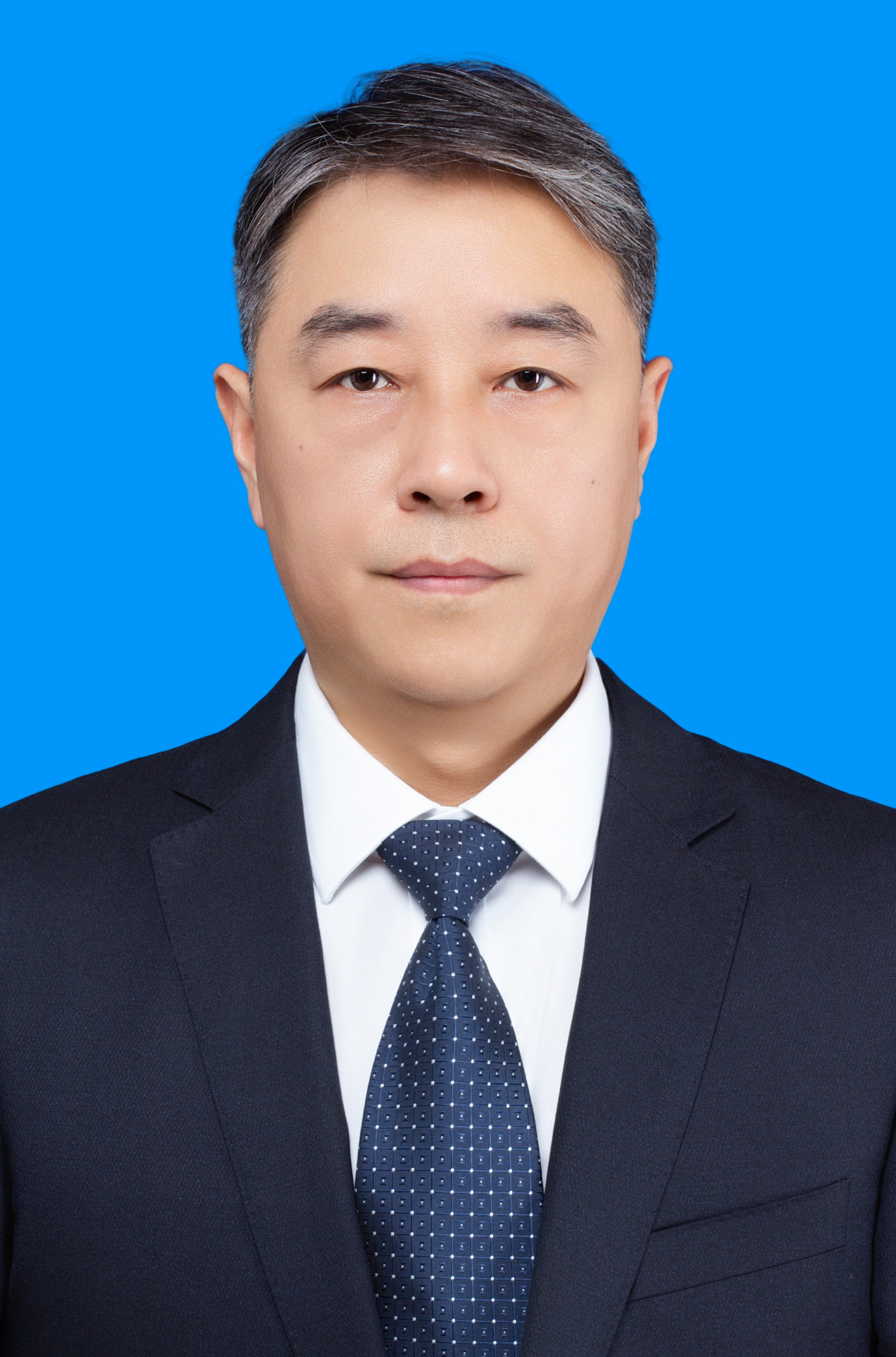 杨    柳