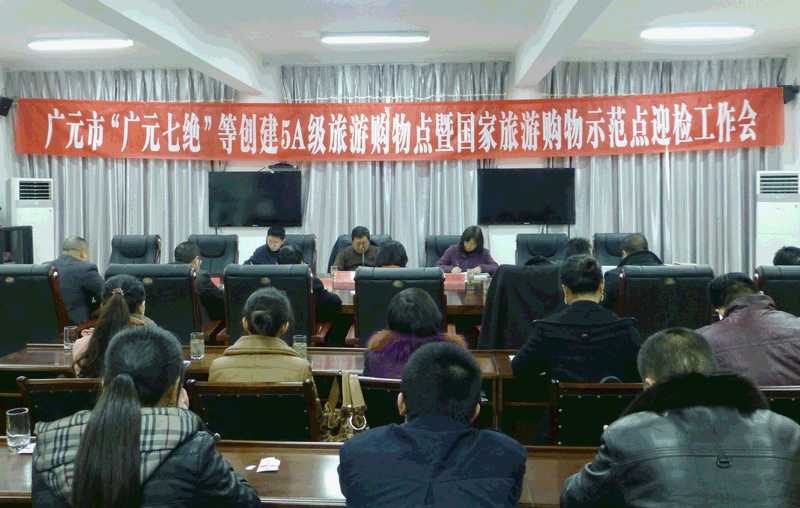 评审组听取汇报